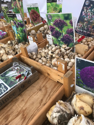 Comentarii opinii despre Växjö Torghandel