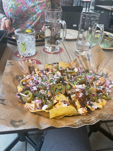 Texas Longhorn Älvsjö - Älvsjö