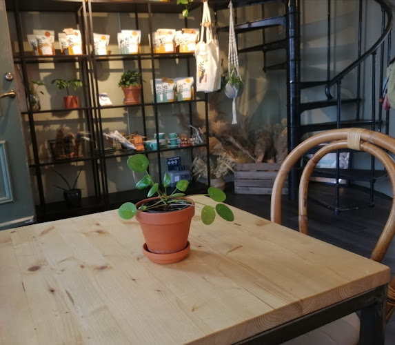 Borgmästargränd 5, 553 20 Jönköping