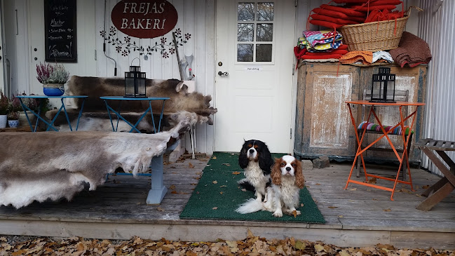 Frejas Bakeri