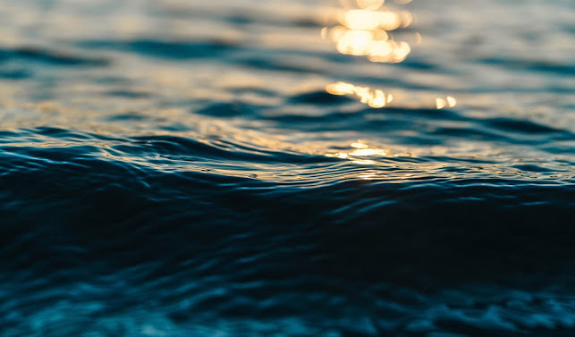 Brödernas - Gastronomi och hotellverksamhet