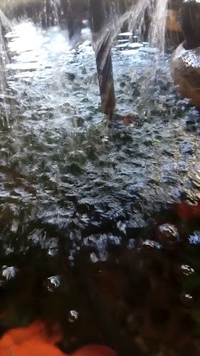 Reviews of Jin Thai Restaurang in Borlänge - Gastronomi och hotellverksamhet