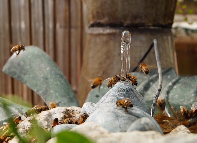 Opinii despre Nydala Bigård På Öland / Svenska Bivaxljus în Borgholm - Gastronomi och hotellverksamhet