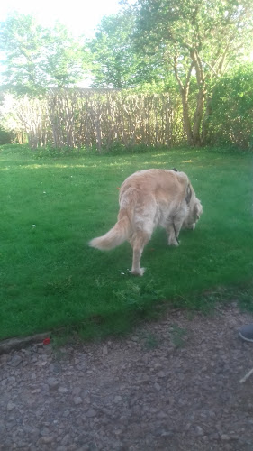 Hela Människan/Ria i Falköping Phone number