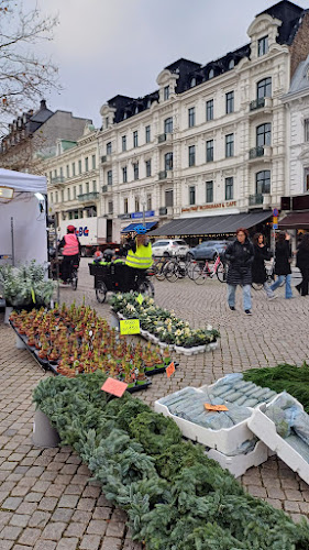 Gustav Adolfs torg 43, 211 39 Malmö