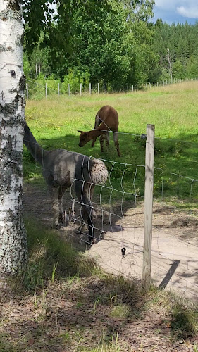 Stora Lunån Gårdscafé - Falun