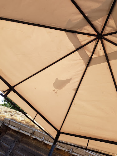 Tovastugan - Gastronomi och hotellverksamhet