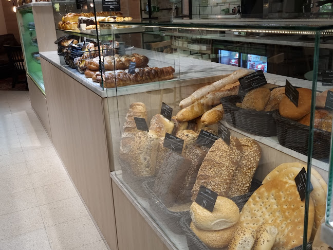 Cederleüfs & Svenheimers Ale Torg - Gastronomi och hotellverksamhet