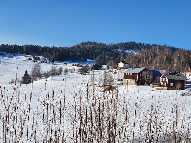 Comentarii opinii despre Emmas skafferi AB
