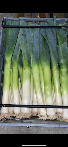 Skånes Frukt & Grönt - Gastronomi och hotellverksamhet