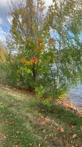 La Polarda Pizzeria - Gastronomi och hotellverksamhet