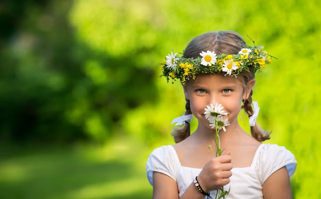 Akropolis - Gastronomi och hotellverksamhet