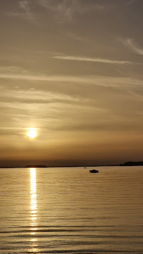 Reviews of Restaurang Sjövik in Motala - Gastronomi och hotellverksamhet