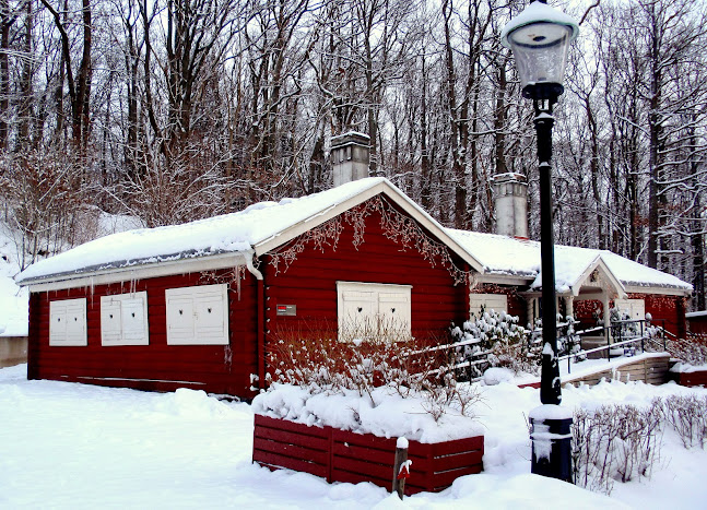 Krutvikens Café & Kök - Gastronomi och hotellverksamhet