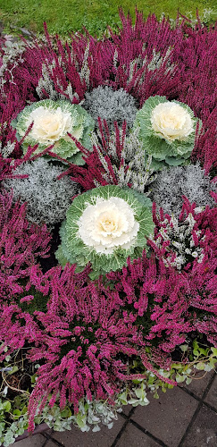 Opinii despre Café Solblomman în Trollhättan - Gastronomi och hotellverksamhet