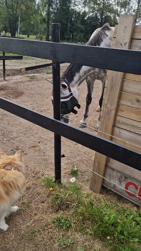 Reviews of Rotnäs gård in Karlstad - Gastronomi och hotellverksamhet