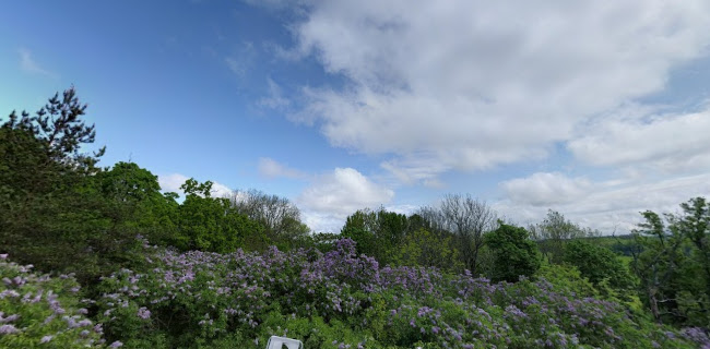 Stenbro Salonger Stenbrogården - Gastronomi och hotellverksamhet