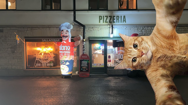 Comentarii opinii despre Pizzeria Milano Örebro