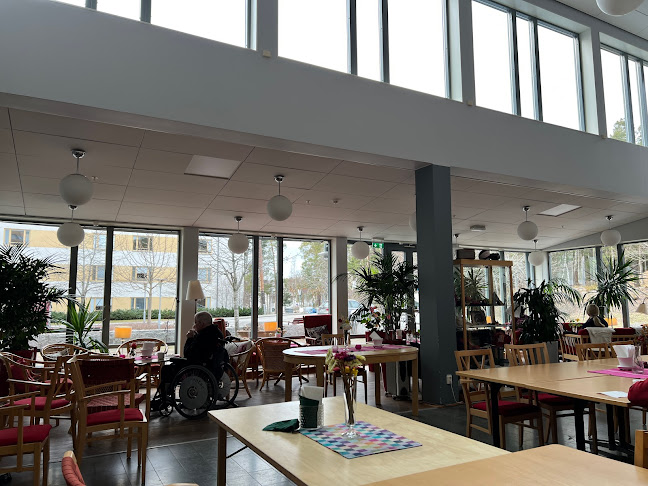 Marys Café - Gastronomi och hotellverksamhet