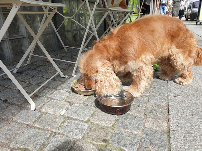 Opinii despre Peggys fika mm în Alingsås - Gastronomi och hotellverksamhet