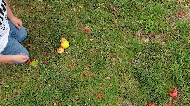 Buhres på Kivik - Kivik