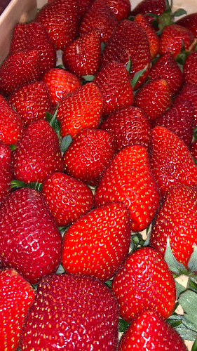 Opinii despre Skånes Frukt & Grönt în Malmö - Gastronomi och hotellverksamhet