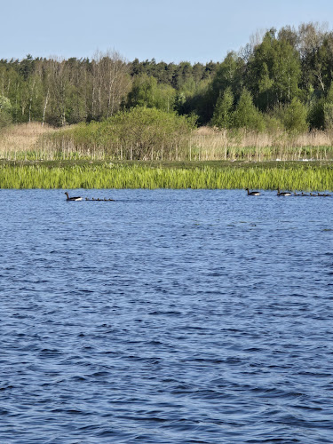 Comments and reviews of Naturens hus