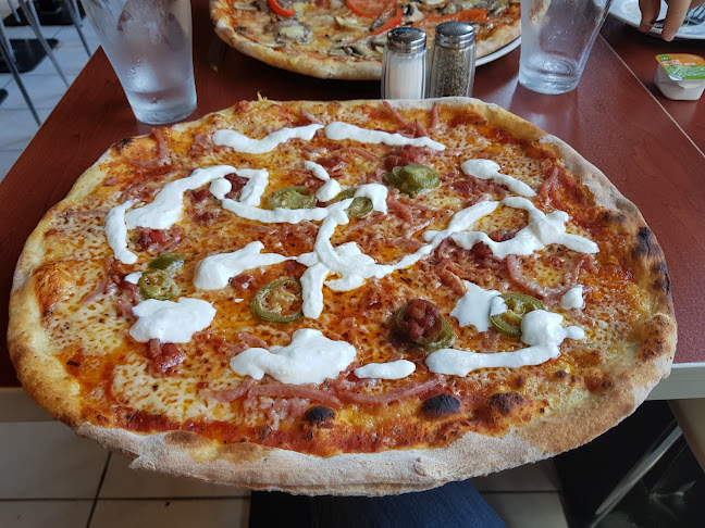 Dino Pizzeria - Gastronomi och hotellverksamhet