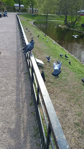 Comments and reviews of Café Årummet