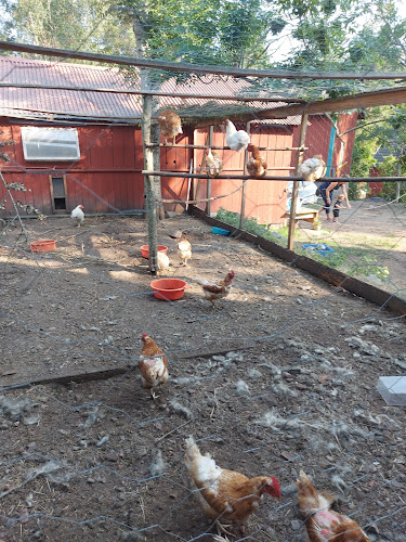 Ingmarsö bageri - brödboden Phone number