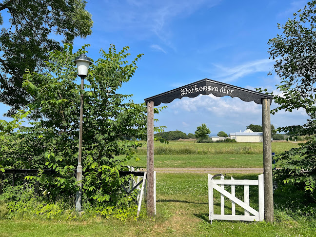 Hembygdsparkens Café Boarp - Gastronomi och hotellverksamhet