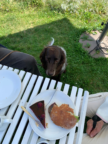 Nora Annas Gårdscafe’ och glamping - Gastronomi och hotellverksamhet