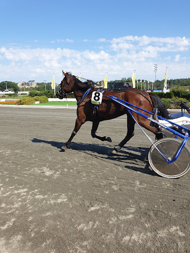 Pershing - Gastronomi och hotellverksamhet