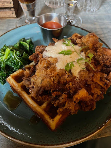 Texas Longhorn Norrtull