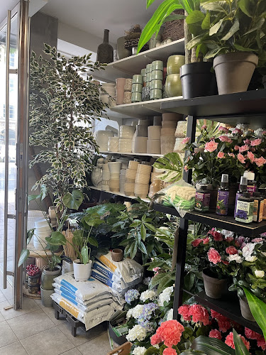 Blomsterjouren - Blommor Vasastan - Stockholm