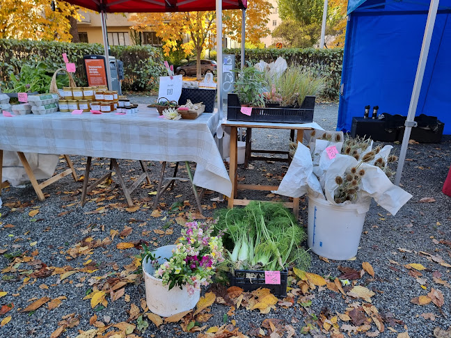 Comentarii opinii despre Tessinparken