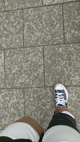 Limone Ristorante Italiano - Gastronomi och hotellverksamhet