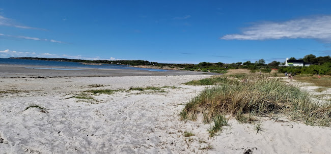 Comentarii opinii despre Fridas Restaurang