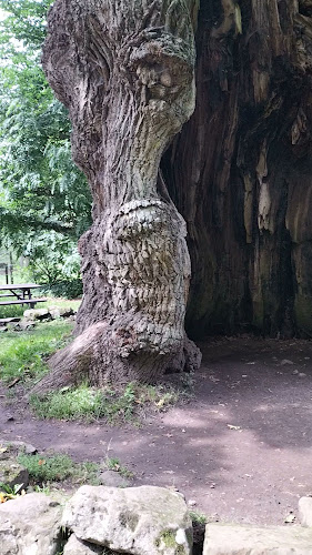 Opinii despre Bosjökloster Trädgårdscaféet - en del av Bosjökloster Slott în Höör - Gastronomi och hotellverksamhet