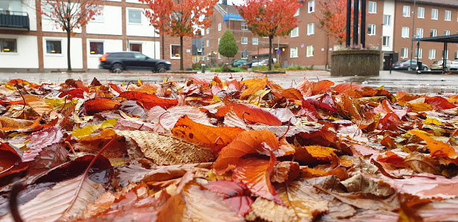 Pizzeria Campino - Gastronomi och hotellverksamhet