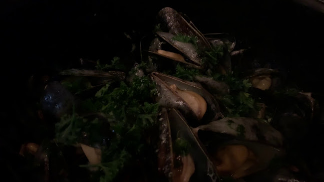 Bierhuis Ölcafé - Gastronomi och hotellverksamhet