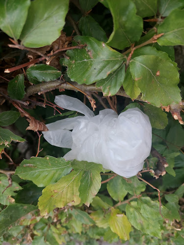 Reviews of Forenede Care Almgården in Vellinge - Gastronomi och hotellverksamhet