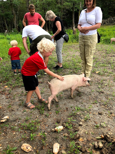 Färjevägen 10, 442 31 Kungälv