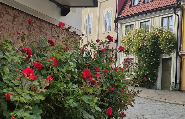 Comentarii opinii despre La Strada Pizzeria