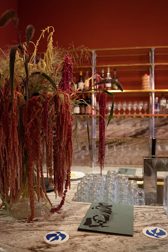 Comentarii opinii despre Riche Fenix