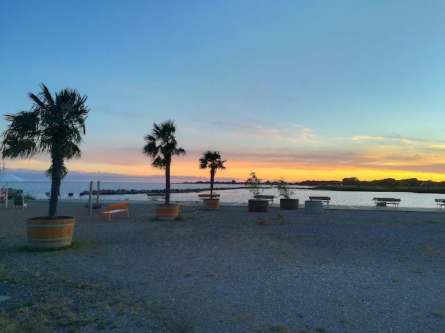 Reviews of Grillplats in Trelleborg - Gastronomi och hotellverksamhet