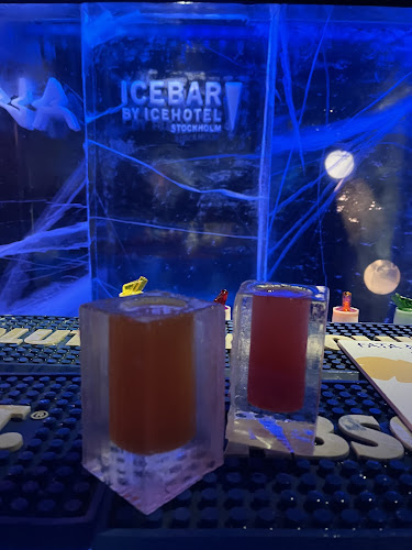 Comentarii opinii despre ICEBAR STOCKHOLM
