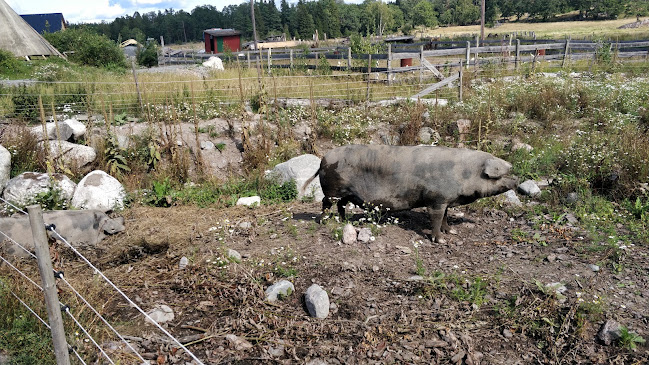 Comentarii opinii despre Håtö gård