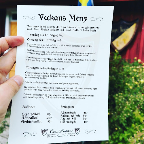 Opinii despre Cesarstugan în Falköping - Gastronomi och hotellverksamhet
