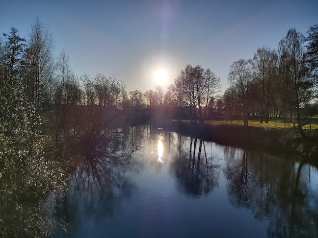 Comentarii opinii despre Åsikten